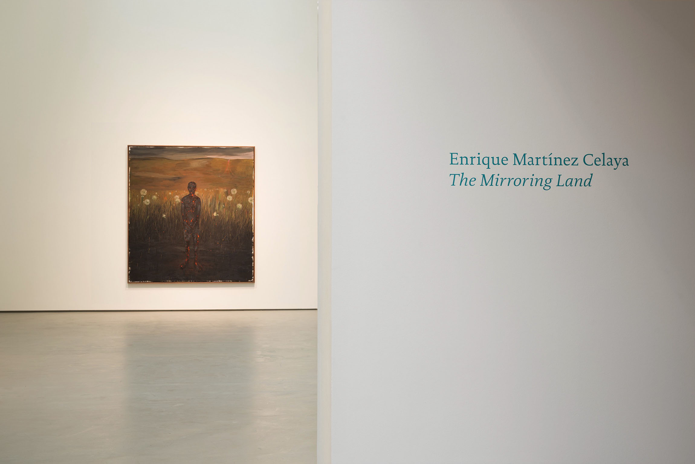 2017 Enrique Martínez Celaya The Mirroring Land