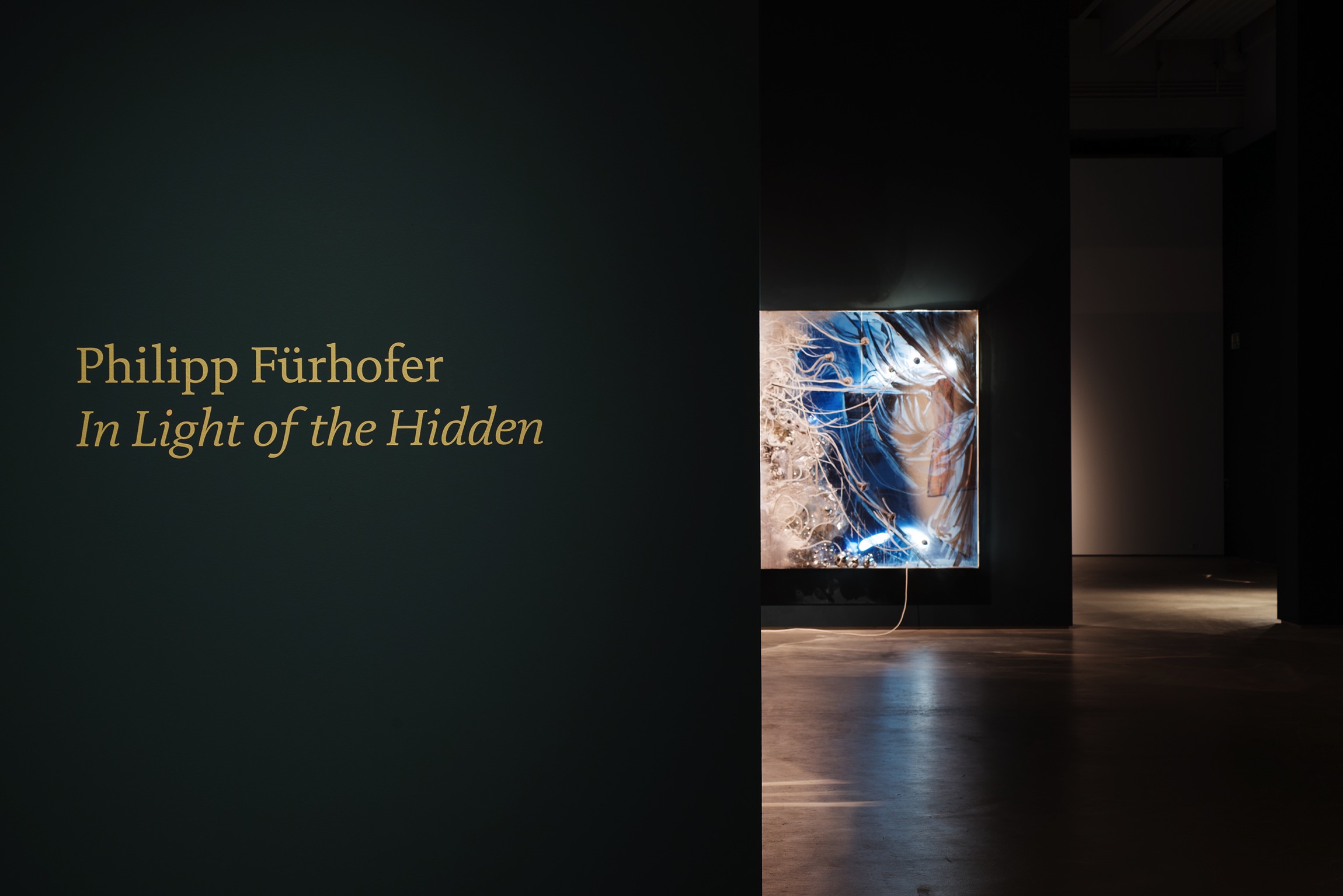 2015 Philipp Fürhofer In Light of the Hidden