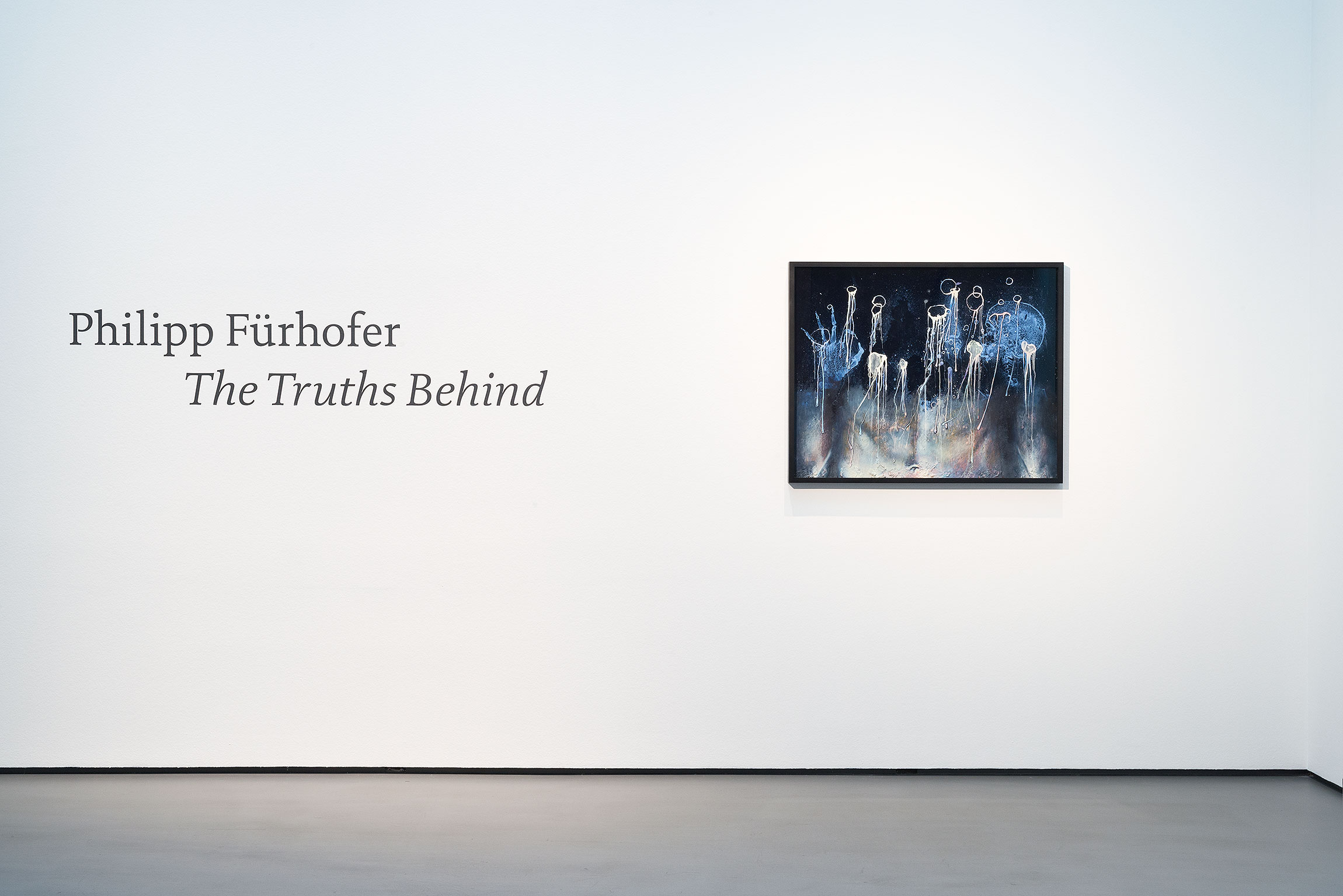Philipp Fürhofer The Truth Behind Galerie Judin