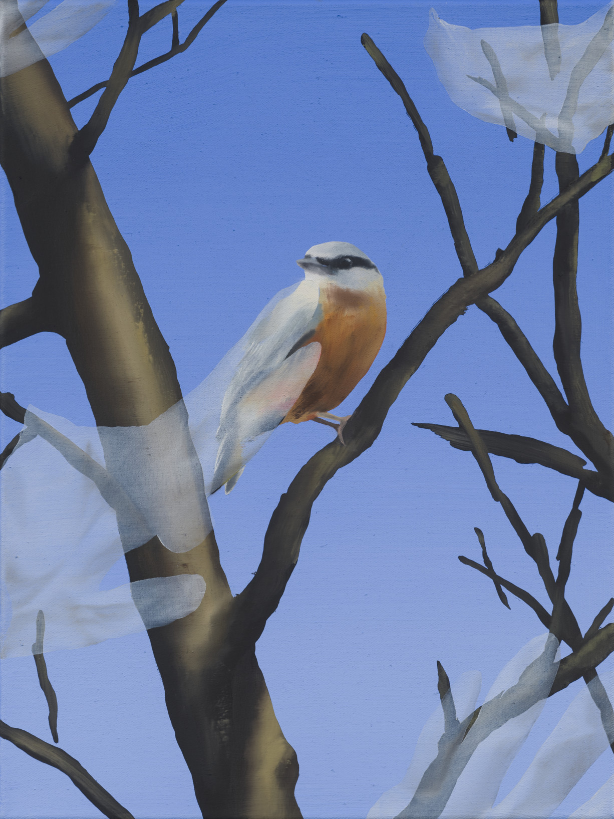Ellen Akimoto Galerie Judin