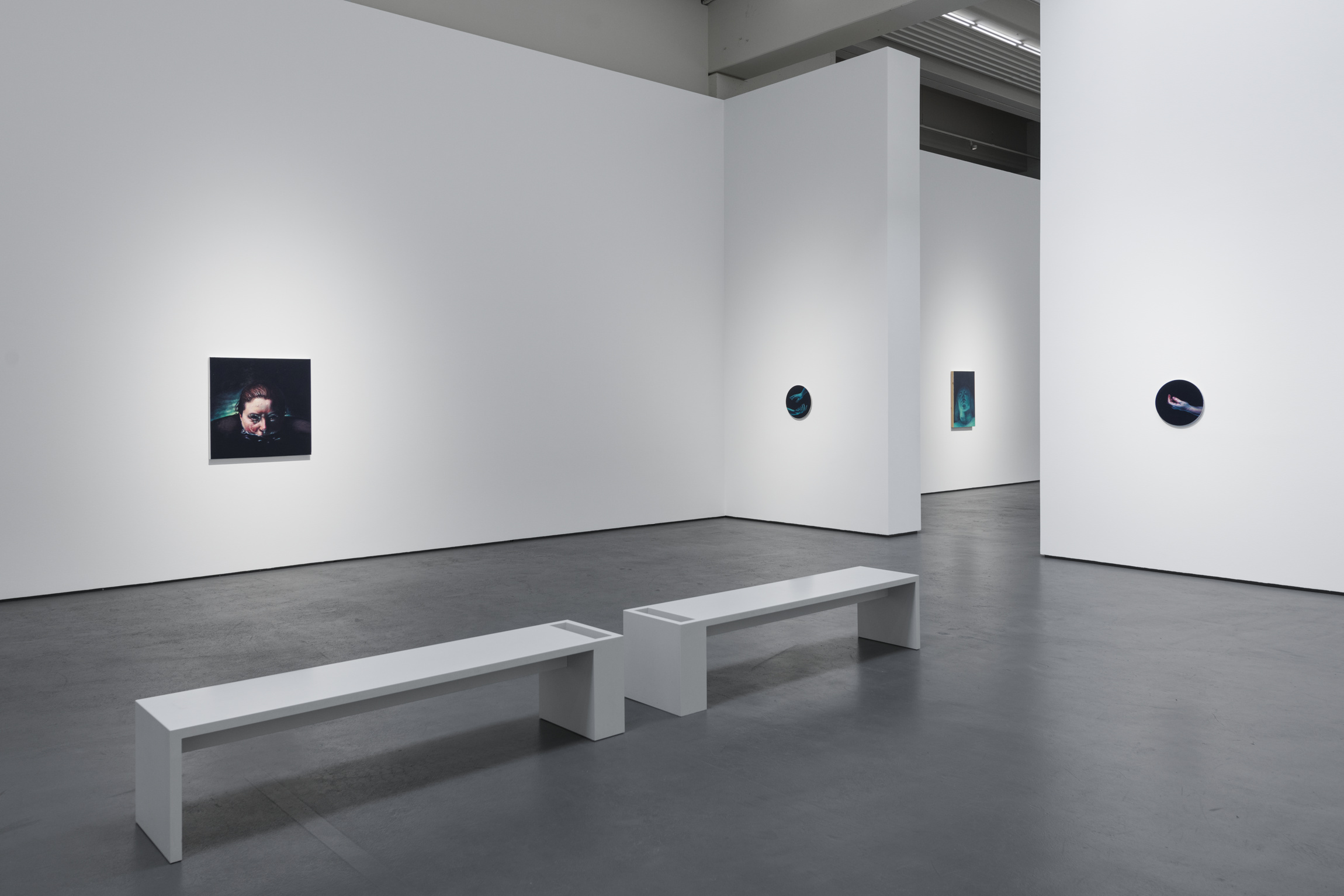 Lydia Pettit Galerie Judin