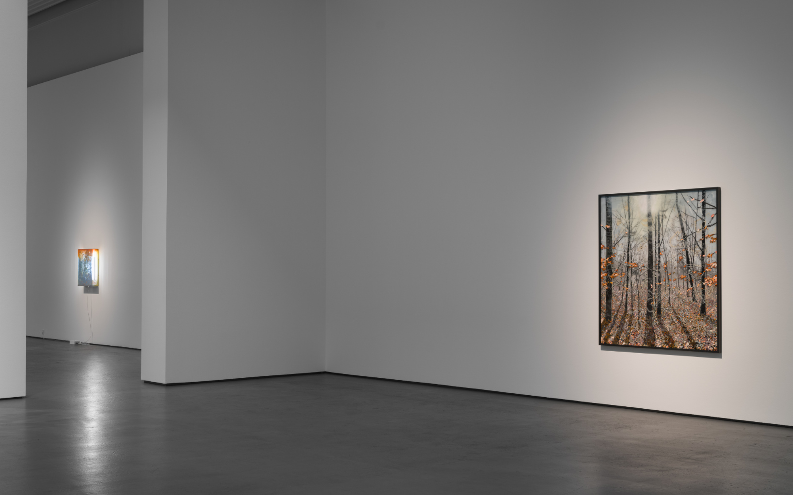 2025 Philipp Fürhofer: Idyll and Apocalypse