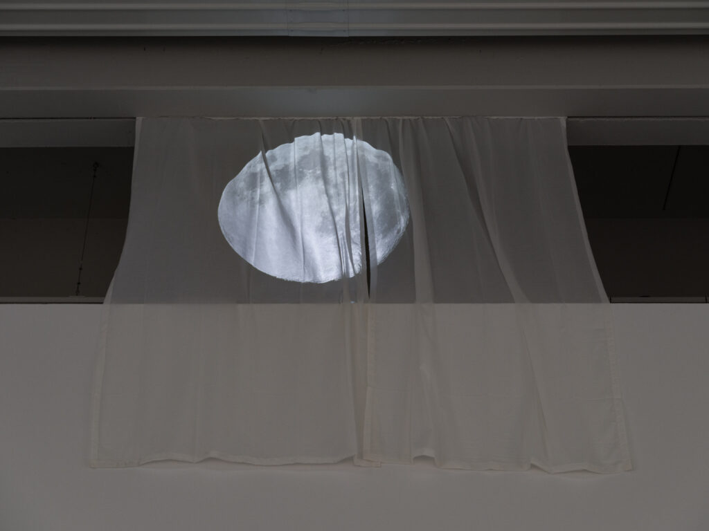 2026 Zilla Leutenegger: Plein soleil