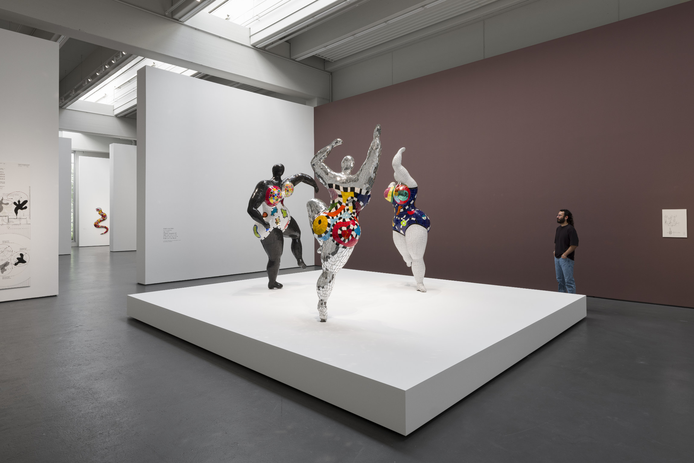 2026 Nikification. Niki de Saint Phalle and Germany