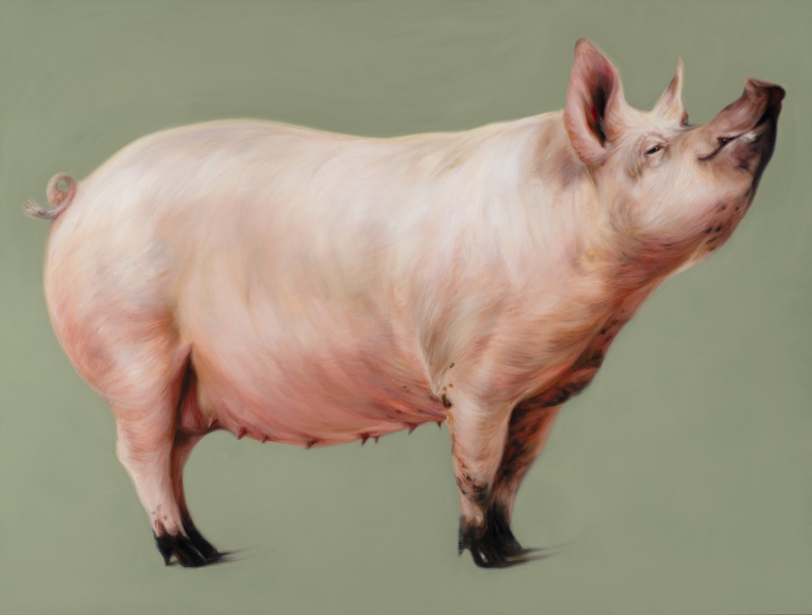 Hugo Wilson Galerie Judin