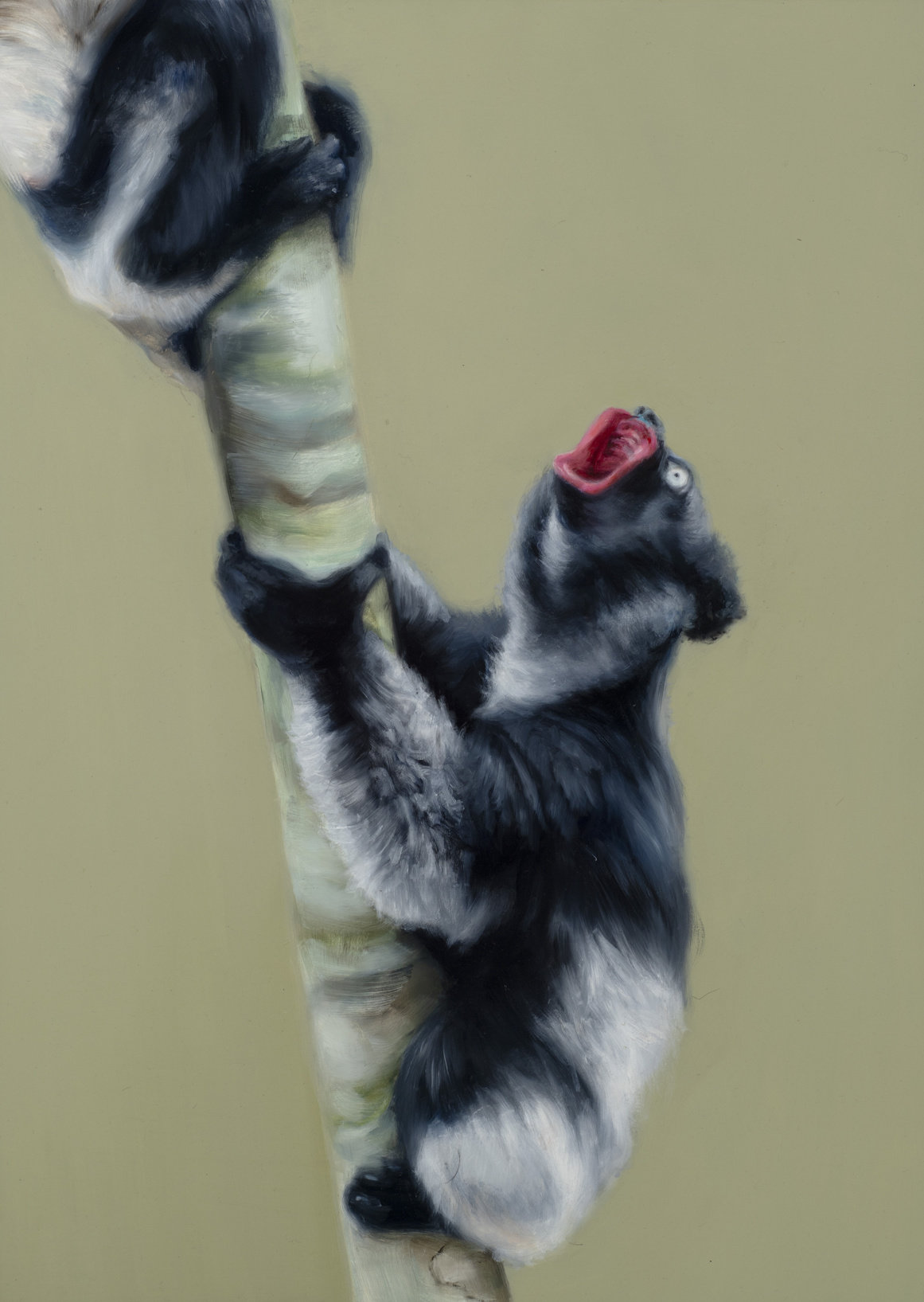 Hugo Wilson Galerie Judin